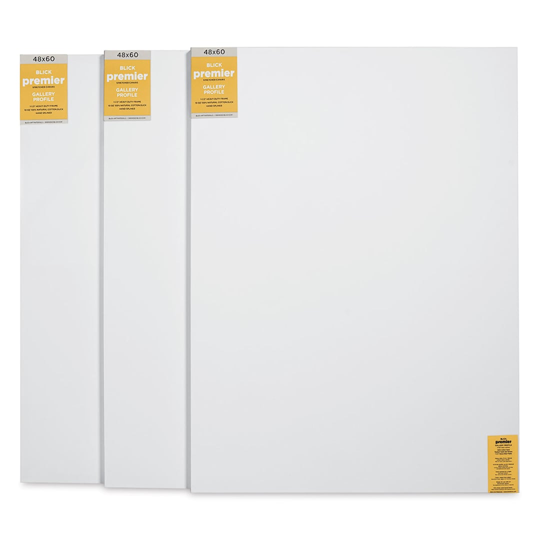 Open in modal - Blick Premier Stretched Cotton Canvas - Gallery Profile, Splined, 48" x 60", Pkg of 3 (three fronts)