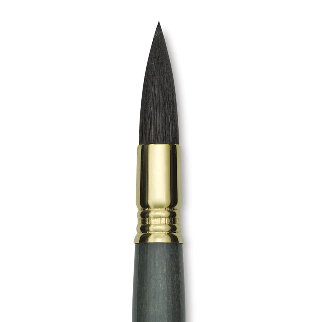 Open in modal - Escoda Aquario Gold Squirrel Mop Brush - Round Mop, Size 14, Short Handle (close-up)
