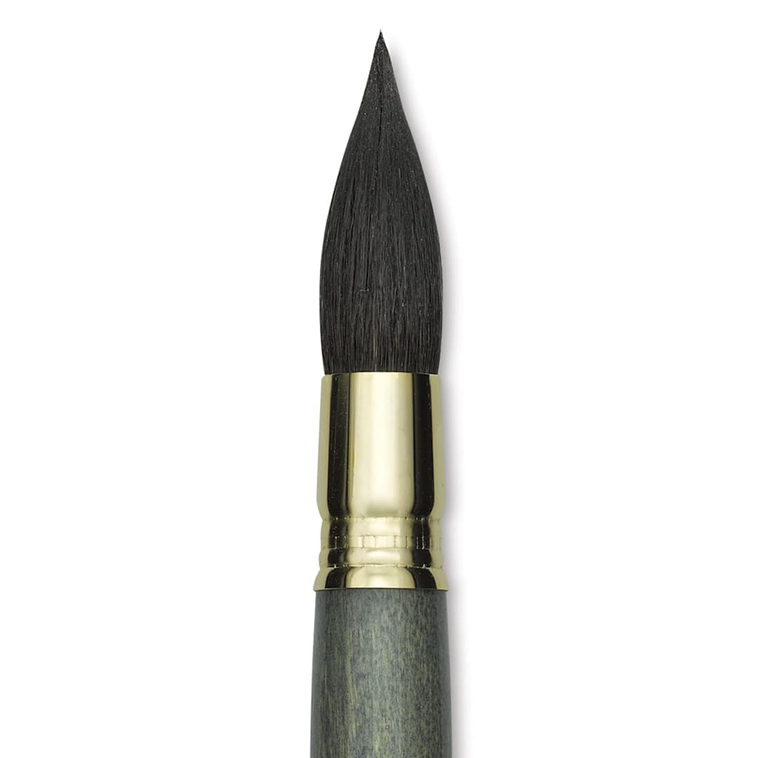 Open in modal - Escoda Aquario Gold Squirrel Mop Brush - Round Mop, Size 20, Short Handle (close-up)