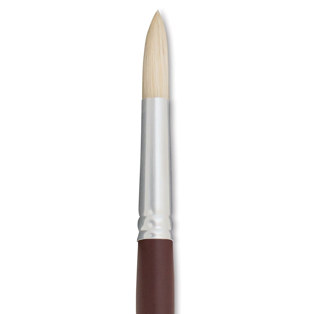 Open in modal - Silver Brush Silverstone Premium White Hog Bristle Brush - Round, Long Handle, Size 8 close up
