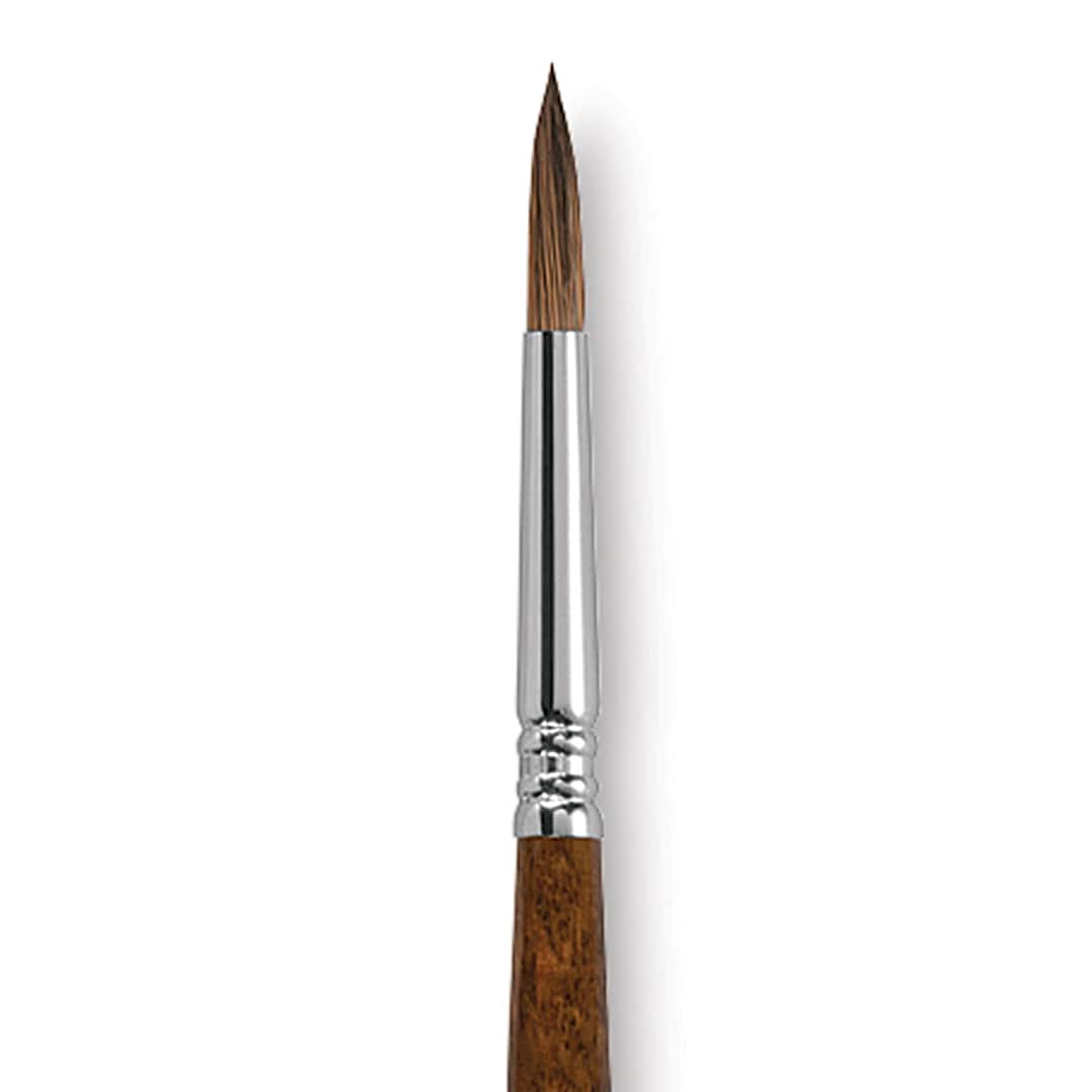 Open in modal - Escoda Versatil Brush - Pointed Round, Size 8, Long Handle close up