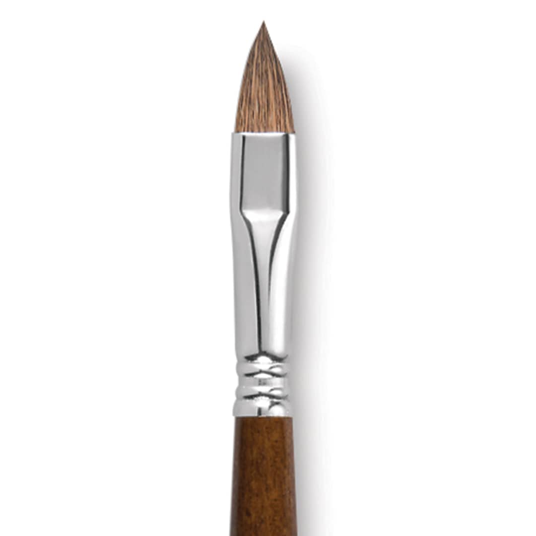 Open in modal - Escoda Versatil Brush - Filbert, Size 12, Long Handle close up