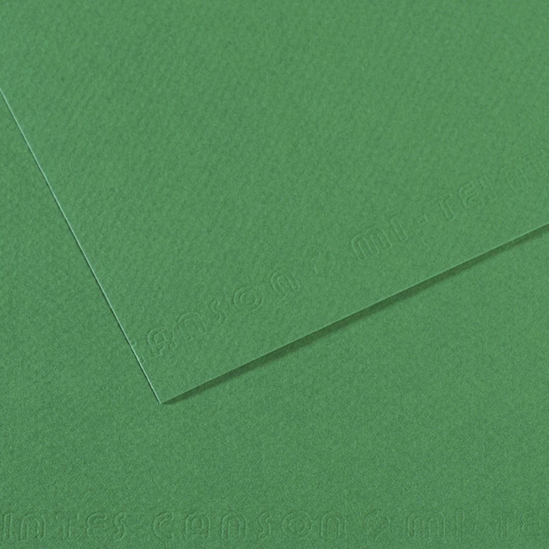 Open in modal - Canson Mi-Teintes Drawing Paper - 19" x 25", Viridian, Single Sheet