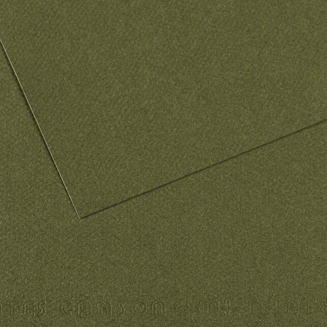 Open in modal - Canson Mi-Teintes Drawing Paper - 19" x 25", Ivy, Single Sheet