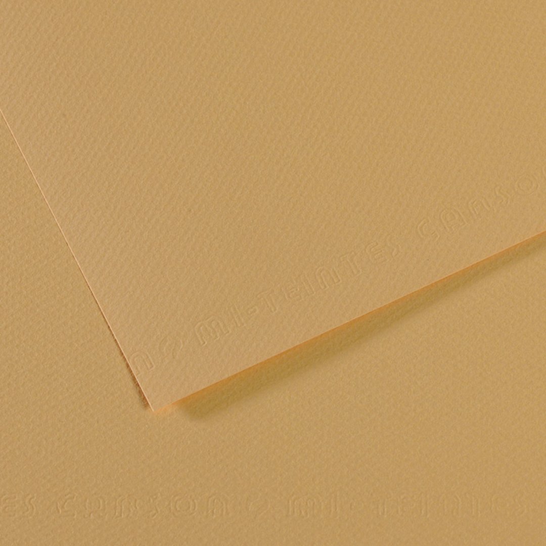 Open in modal - Canson Mi-Teintes Drawing Paper - 19" x 25", Oyster, Single Sheet