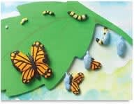 Open in modal - claymation metamorphosis