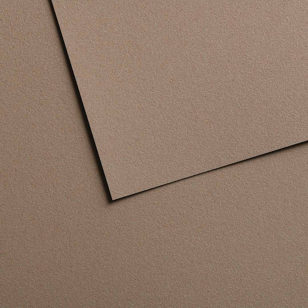 Open in modal - Canson Mi-Teintes Velvet Sheet - 19.5" x 25.5", 613 Grey Brown, 430 gsm, Single Sheet