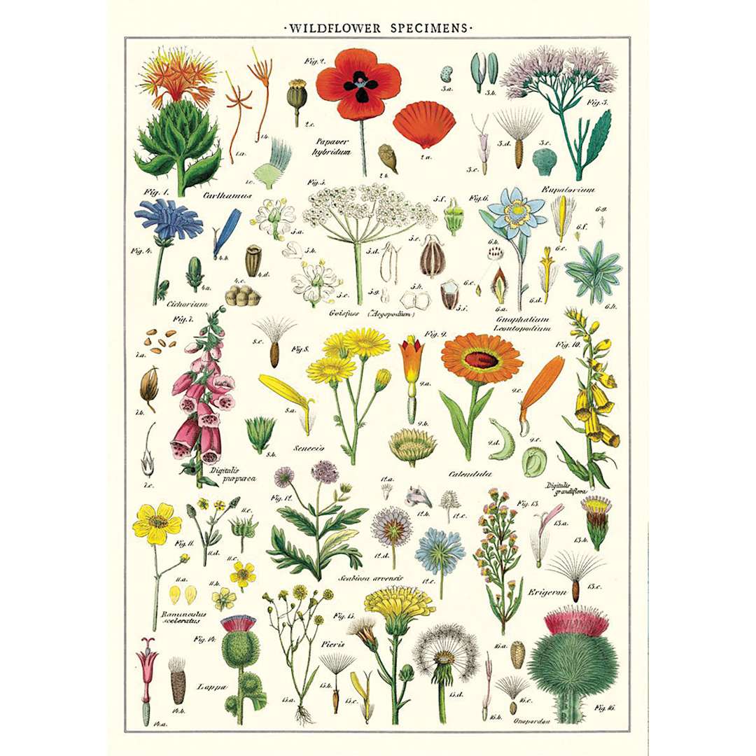 Open in modal - Cavallini Wildflowers Printed Paper
