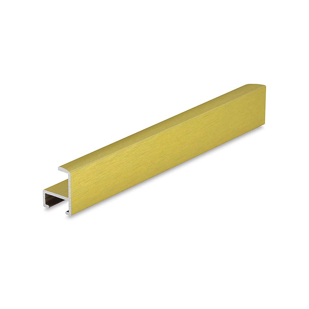 Open in modal - Nielsen Metal Frame Section Style 11 - 41" x 13/32", Gold