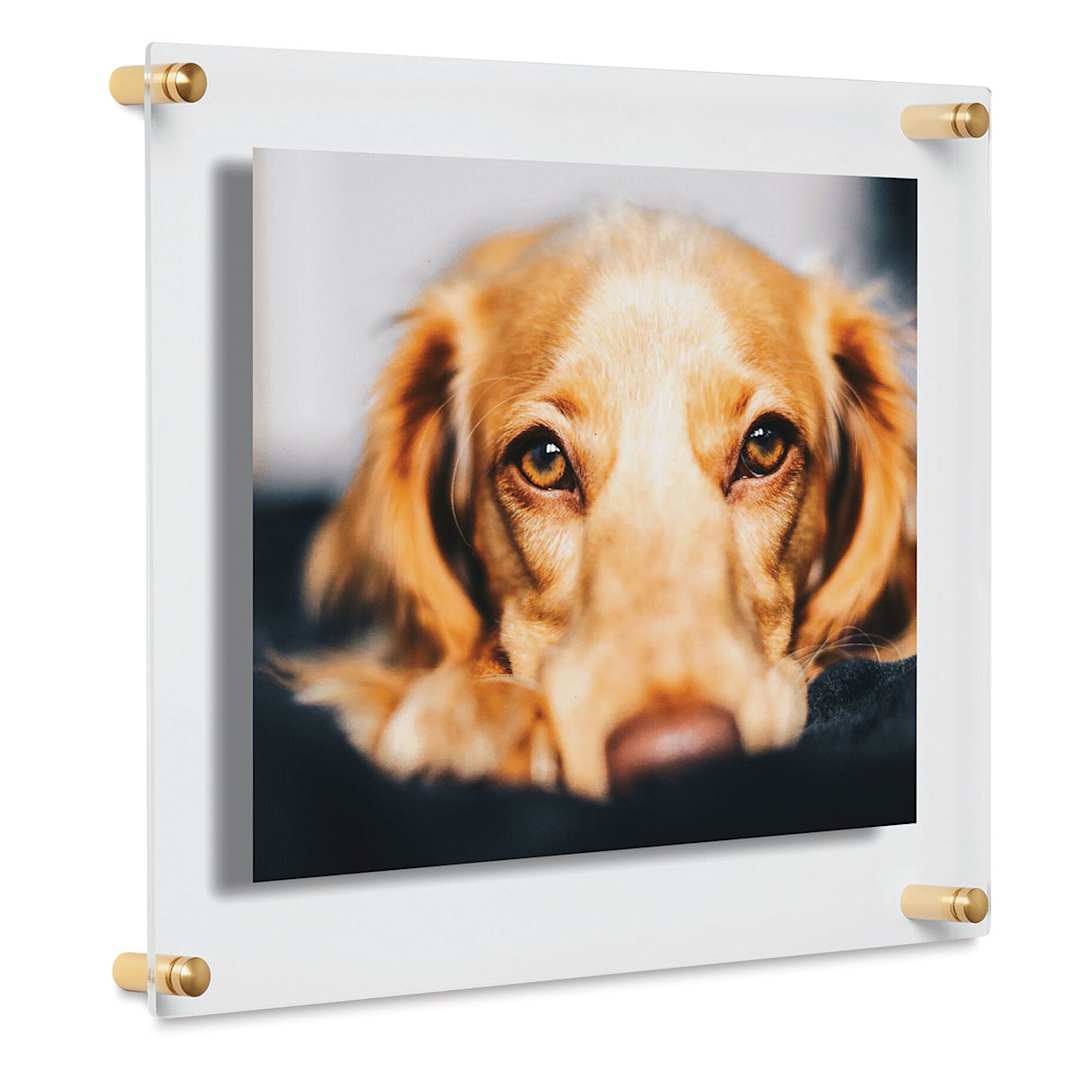 Open in modal - Cool Modern Frames - Angled view of 12" x 15" frame with Goldtone hardware showing a dog