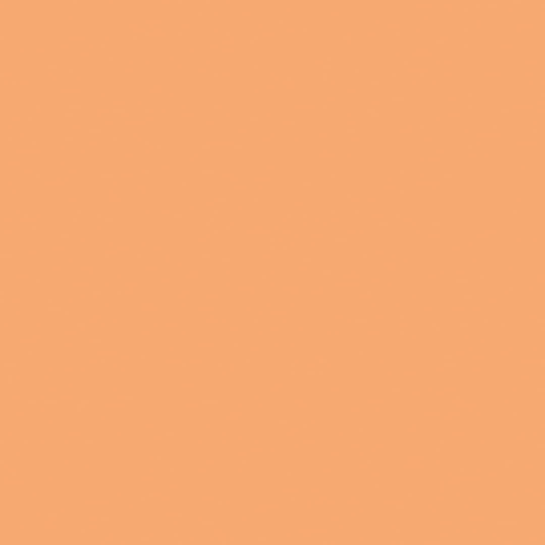 Open in modal - Stabilo Pen 68 - Light Orange Swatch
