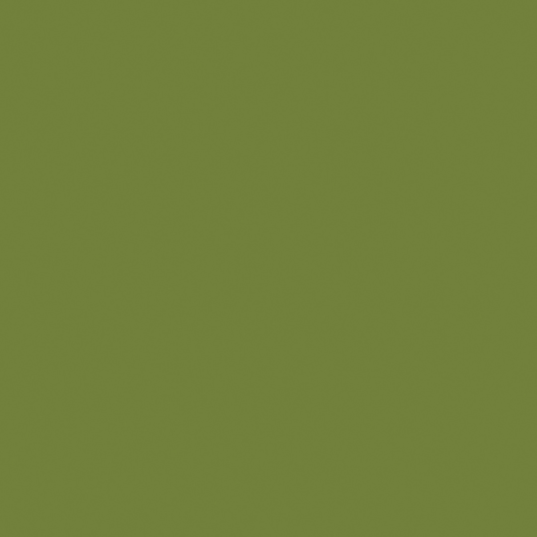 Open in modal - Stabilo Pen 68 - Moss Green Swatch