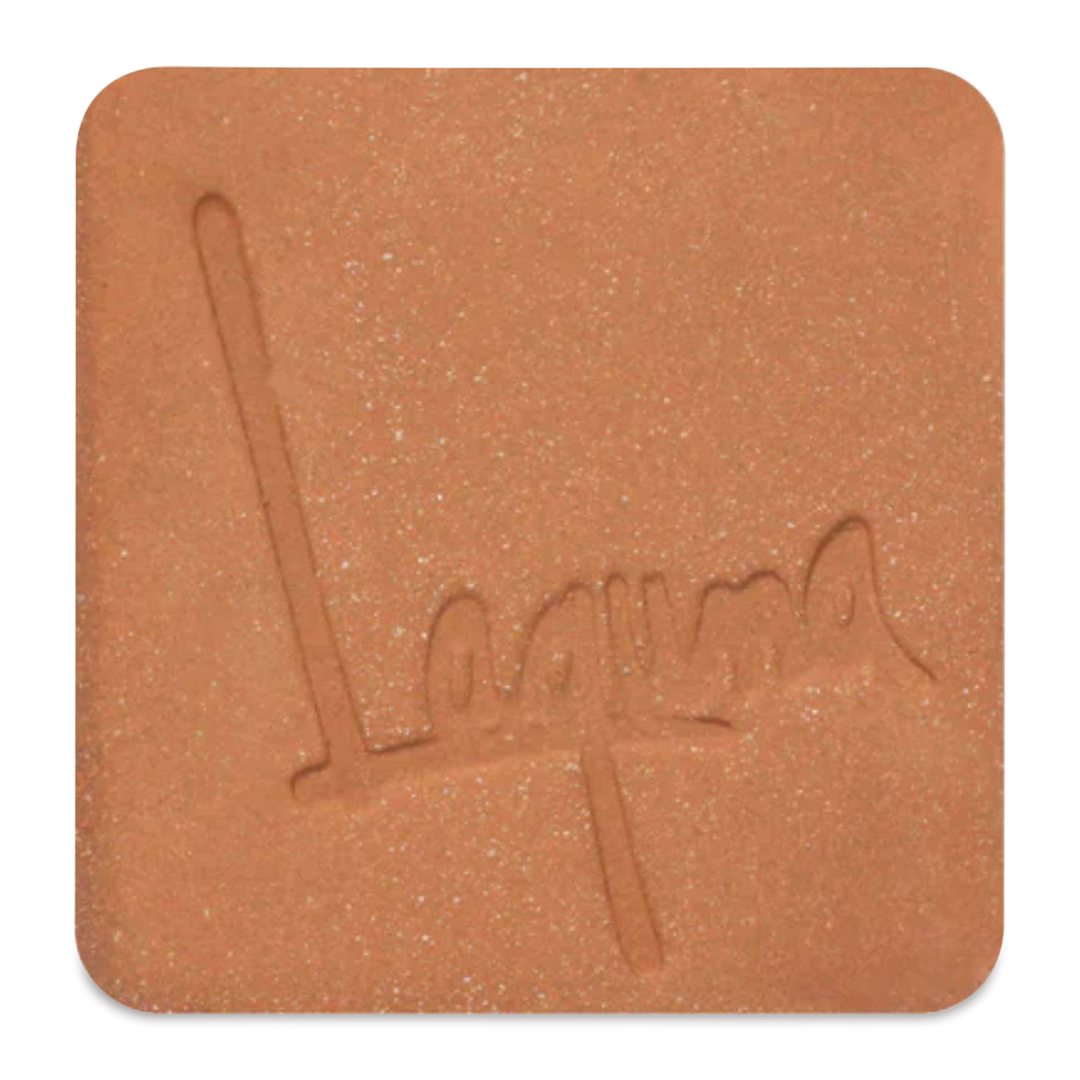 Open in modal - Laguna B-Mix 5 Red Clay with Grog WC438