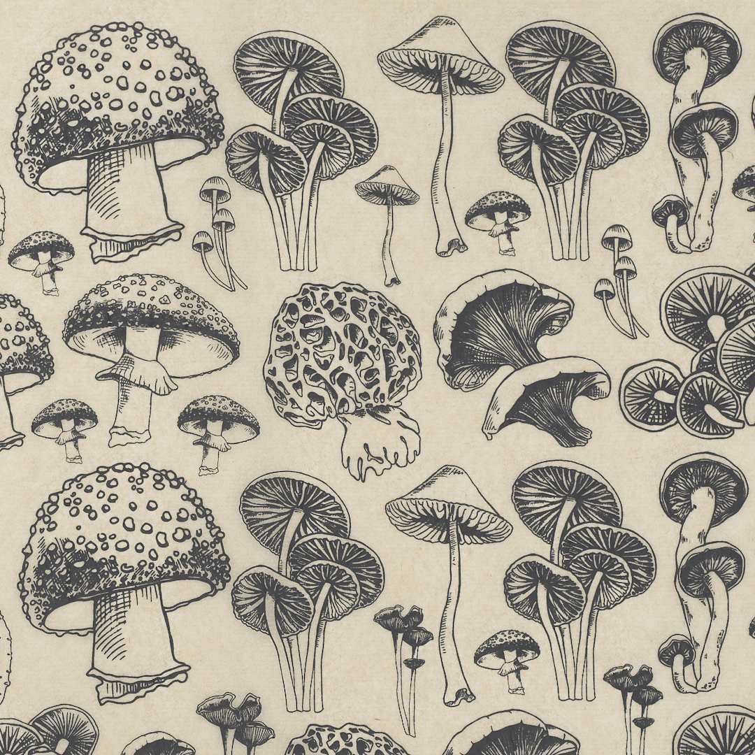 Open in modal - Elan Transfers Underglaze Transfer Sheet - Natural Mushrooms, Black - close-up