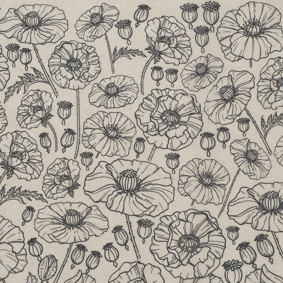Open in modal - Elan Transfers Underglaze Transfer Sheet - Poppies, Black - close-up