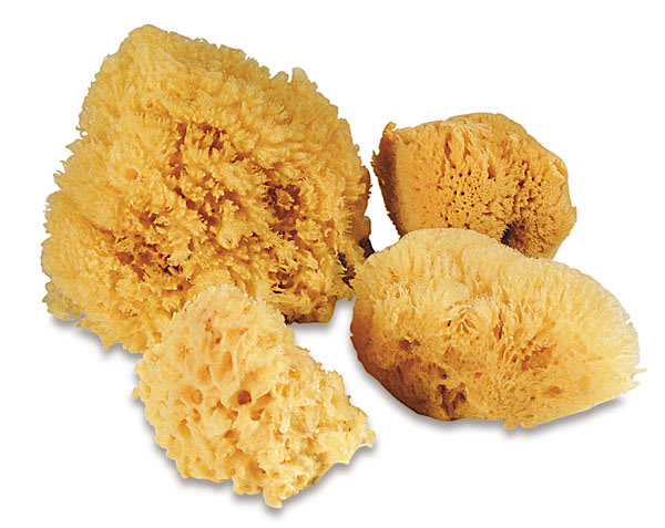 Open in modal - Royal & Langnickel Super Value Sponge Set