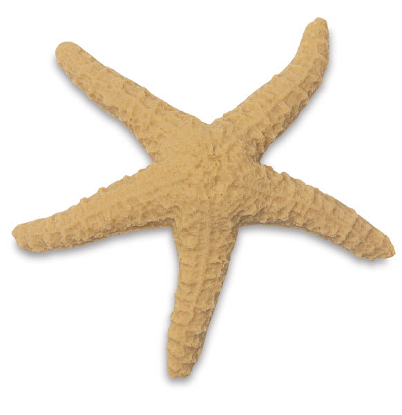Open in modal - Star Fish