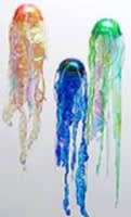 Open in modal - recycled jellies
