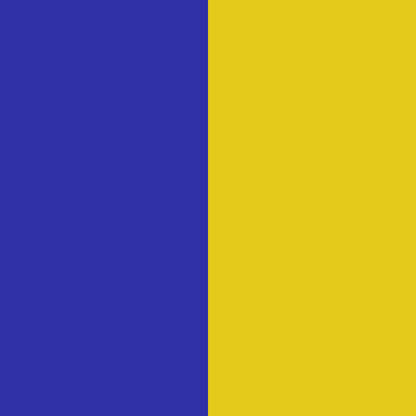 Open in modal - Pepperell Rexlace Duo - Close-up of Blue and Goldenrod Duo Lacing
