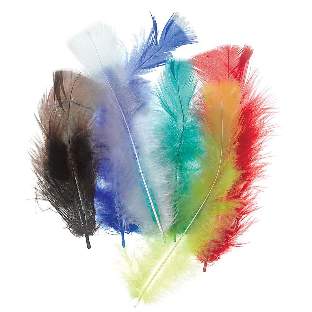 Open in modal - Plumage Feathers - Several brightly Colored Feathers shown