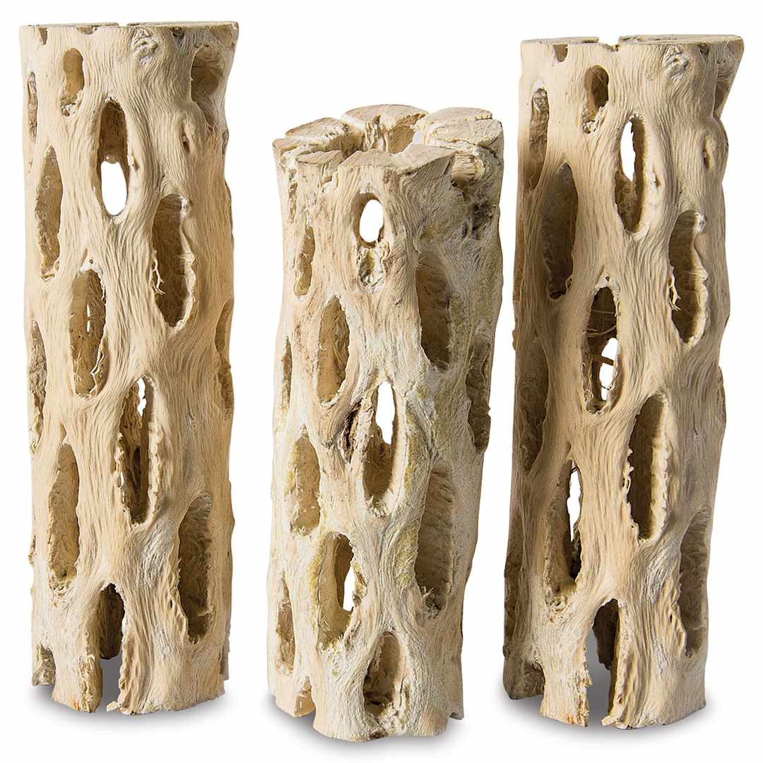 Open in modal - SuperMoss Cholla Wood - Set of 3 shown upright

