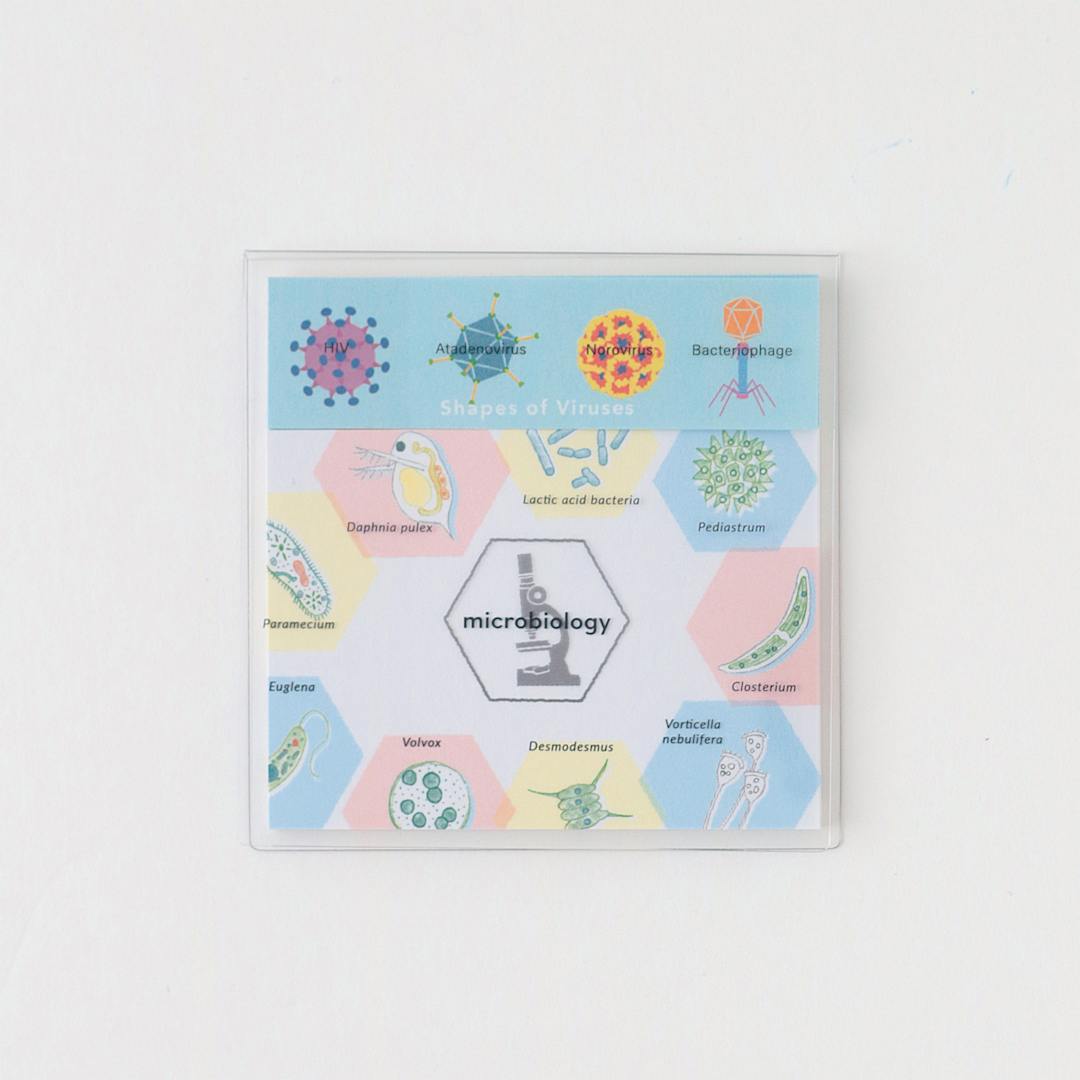 Open in modal - Green Flash Study Holic Sticky Notes, Microbiology