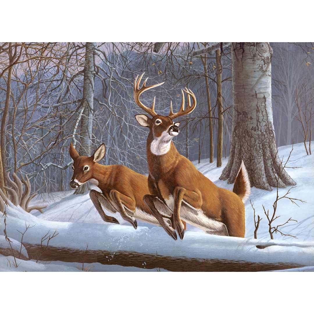 Open in modal - Adult Painting by Numbers Kits White Tails, 11 3/8" x 15 3/8" - Peggable