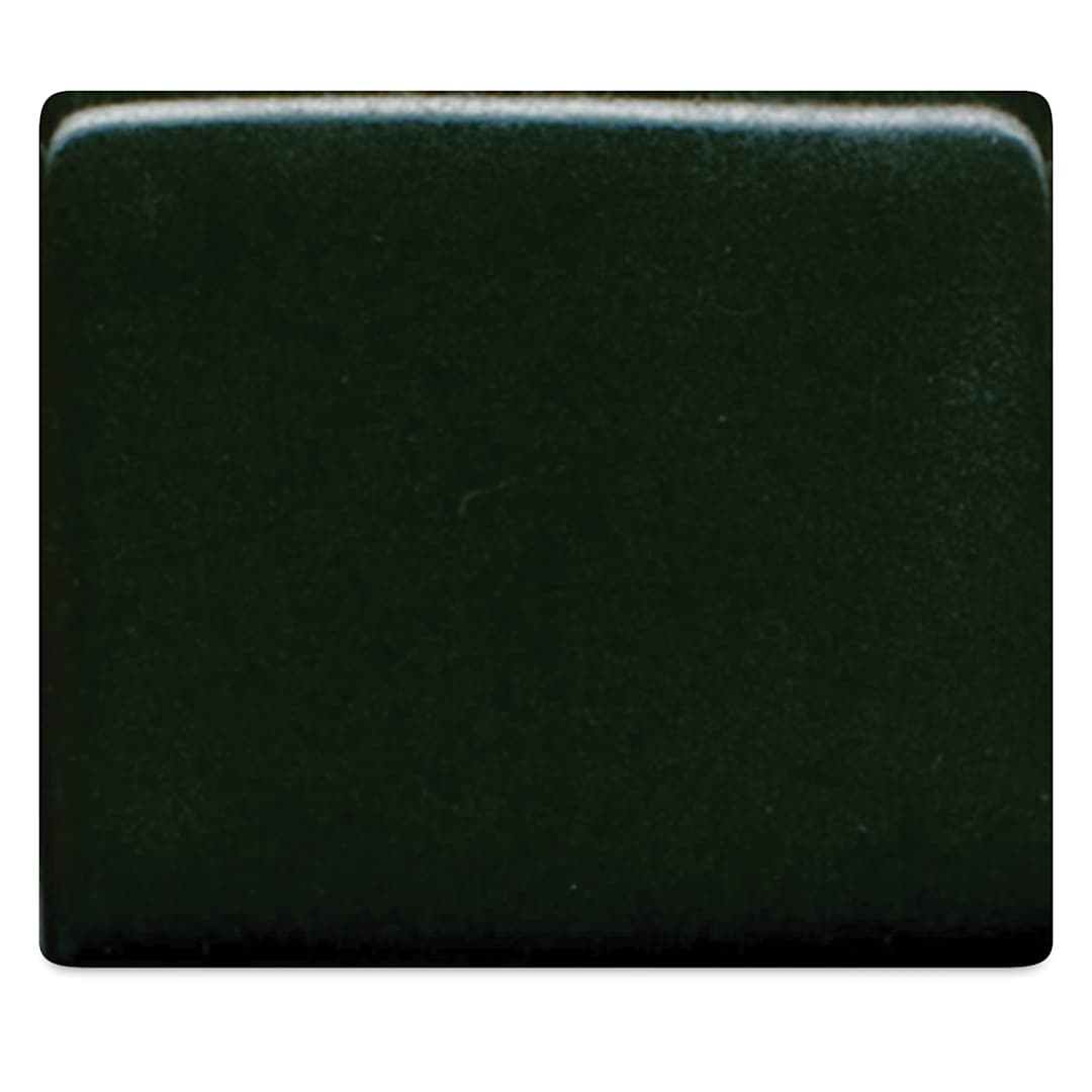 Open in modal - Coyote High Fire Underglaze - Cactus Green