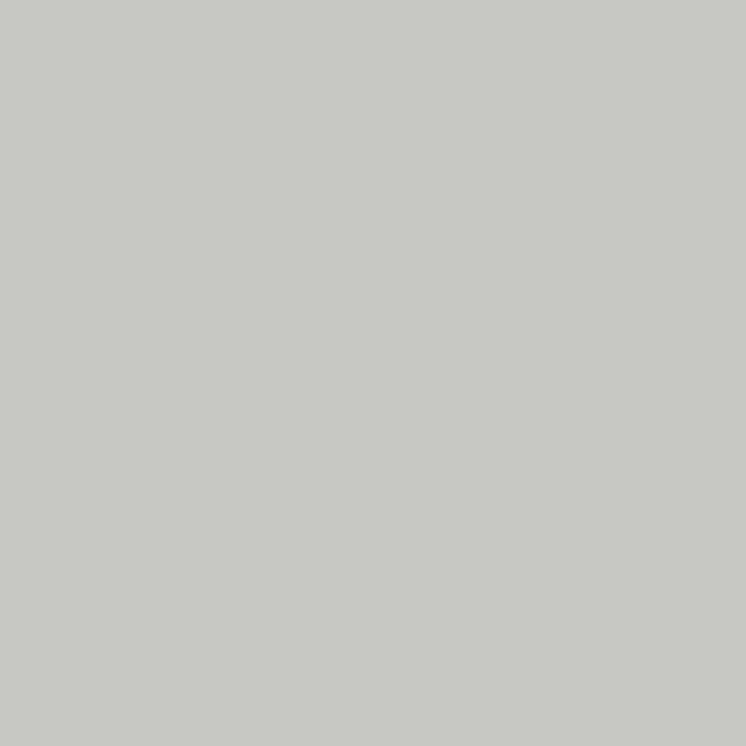 Open in modal - Vallejo Wash FX - Light Grey, 35 ml swatch