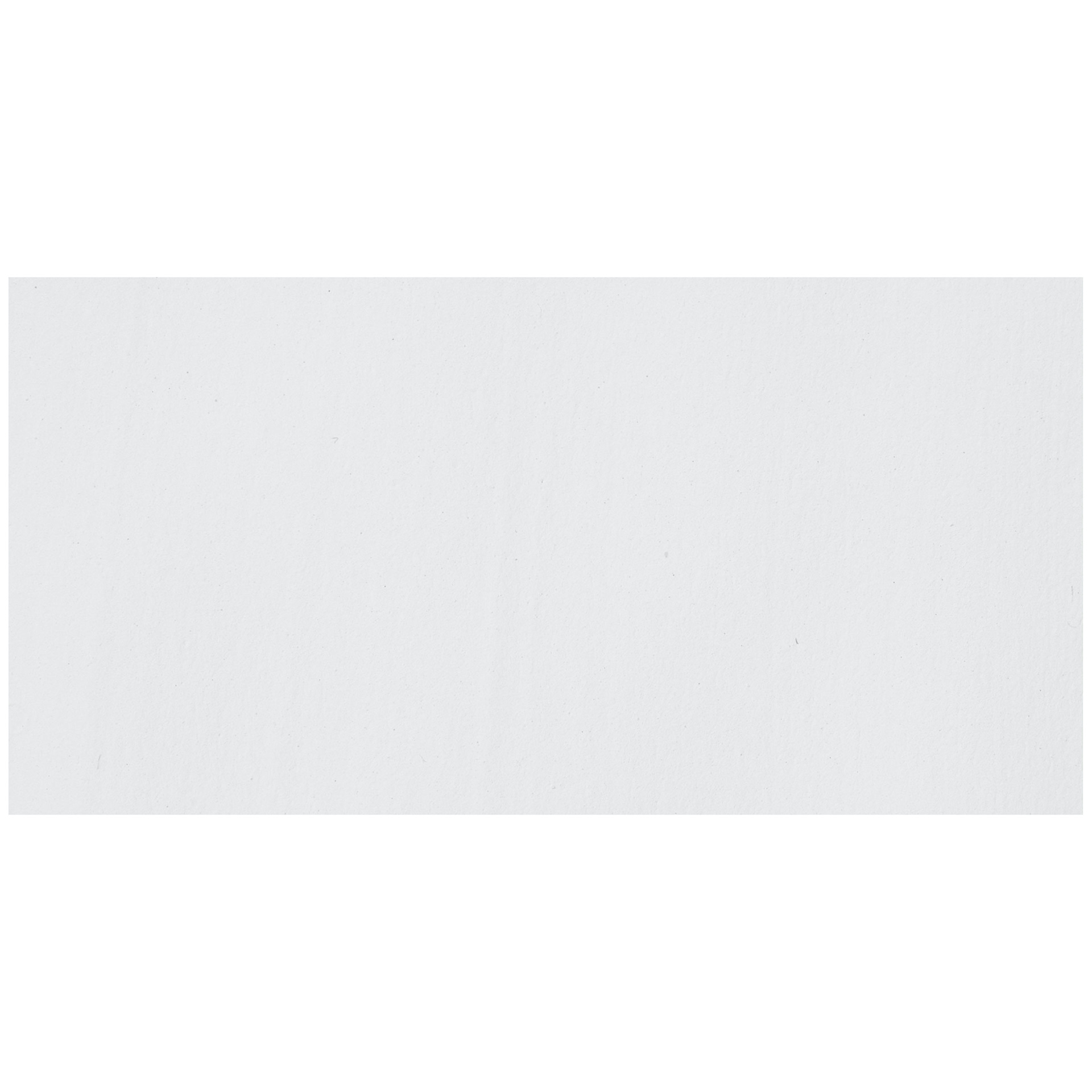 Crayola Premier Tempera - White swatch