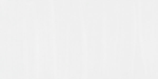 Blick Essentials Tempera Paint - White swatch