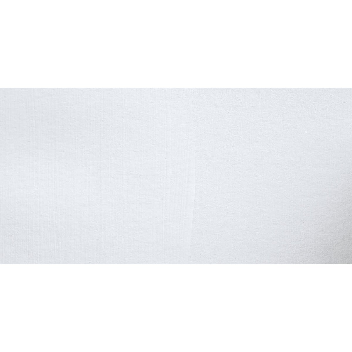 Chroma Chromatemp Artists' Tempera Paint - White swatch