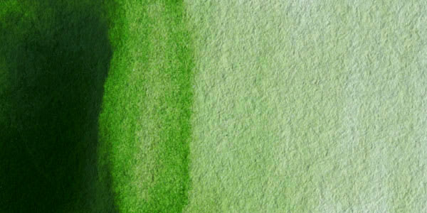 Winsor & Newton Professional Watercolor - Permanent Sap Green swatch