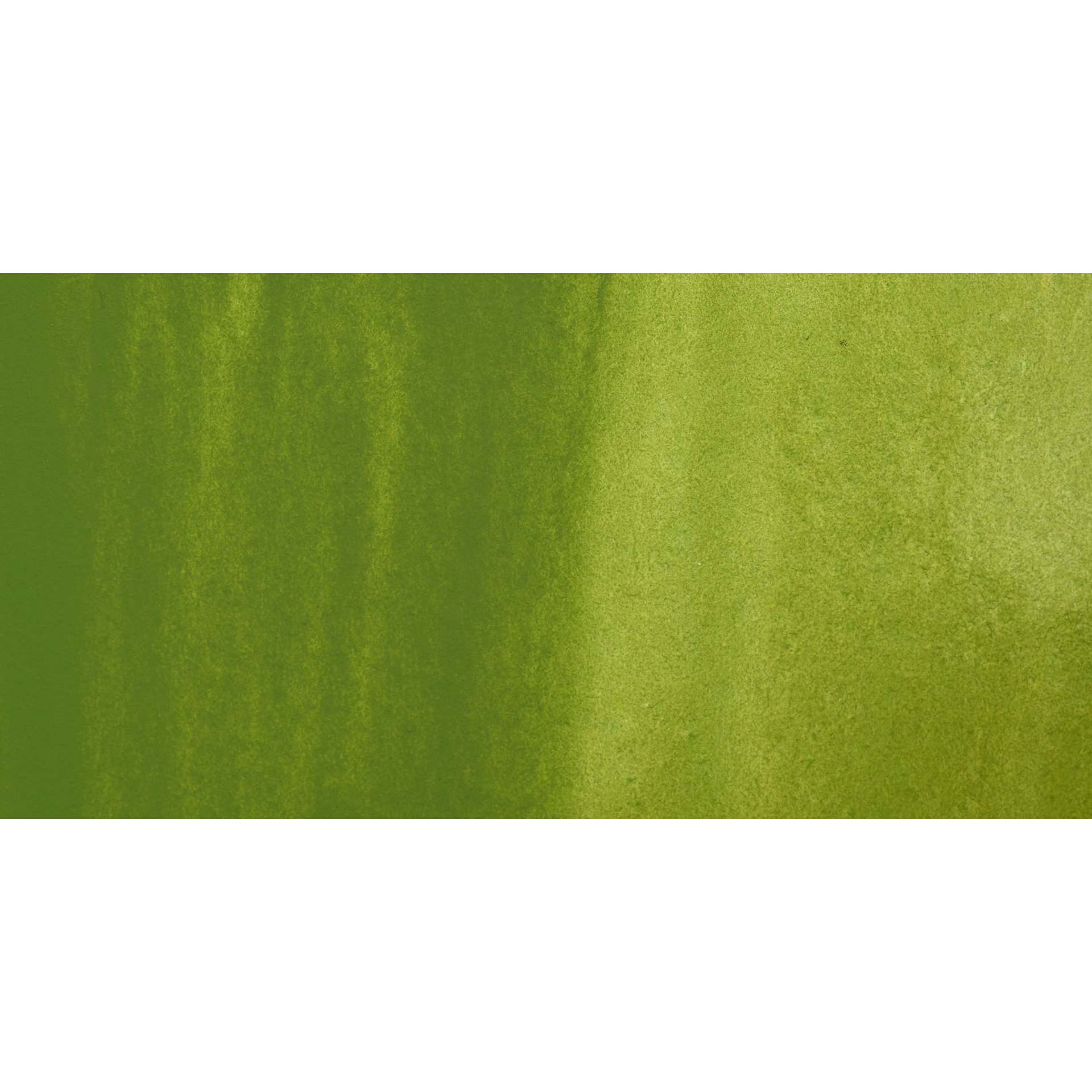 Holbein Artists' Watercolor - Japanese Bush Warbler Green swatch