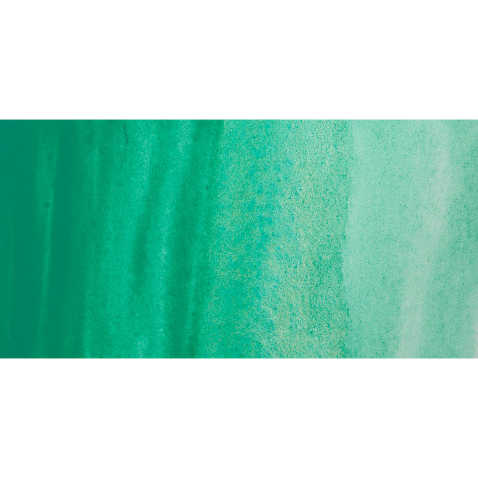 Holbein Artists' Watercolor - Wonder Forest Green swatch