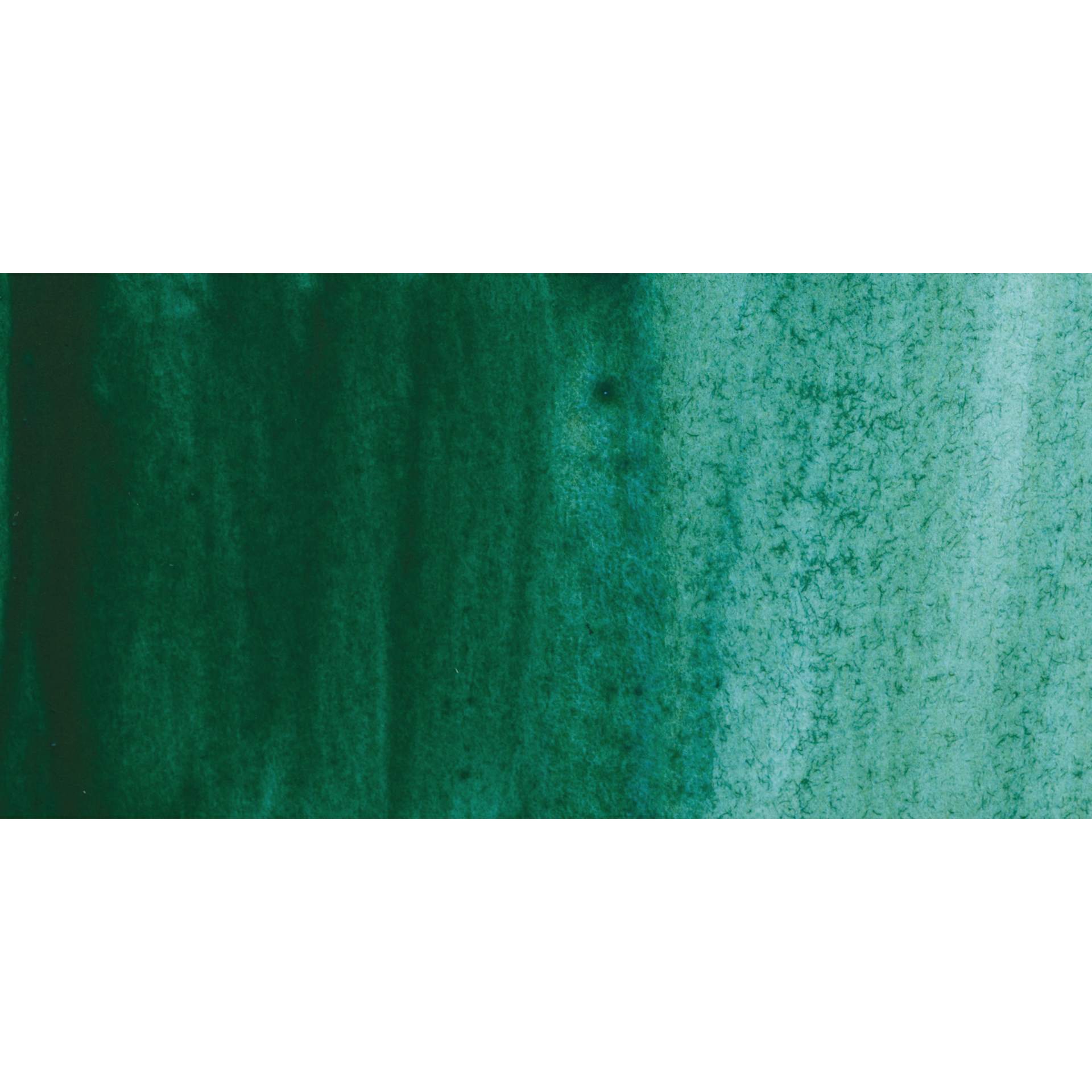 Holbein Artists' Watercolor - Peafowl Green swatch