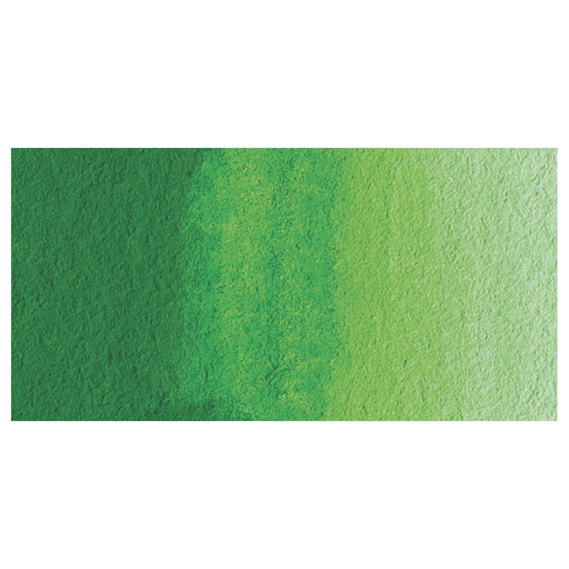 Holbein Artists' Watercolor - Permanent Green 2 swatch