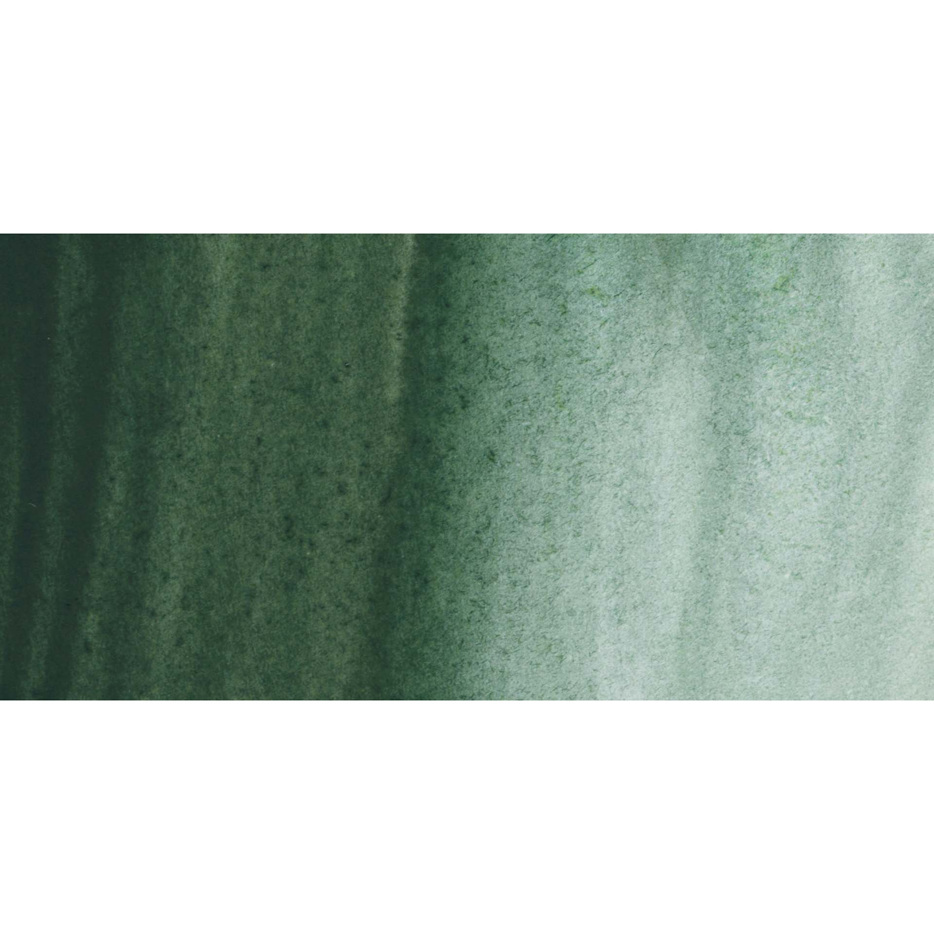 Schmincke Horadam Aquarell Artist Watercolor - Urban Green swatch