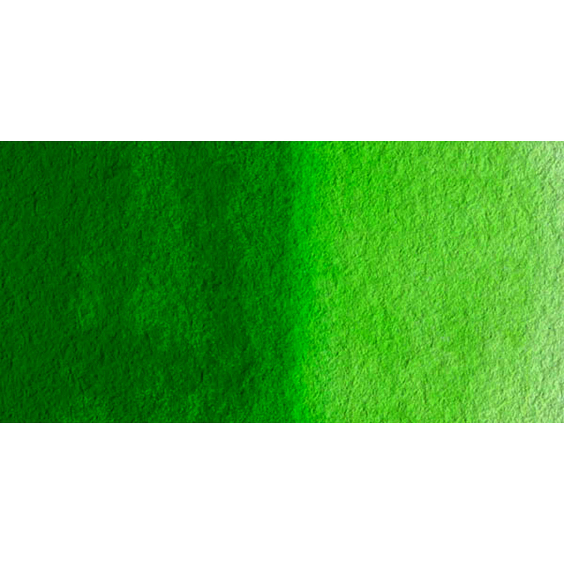 Schmincke Horadam Aquarell Watercolor - Permanent Green swatch