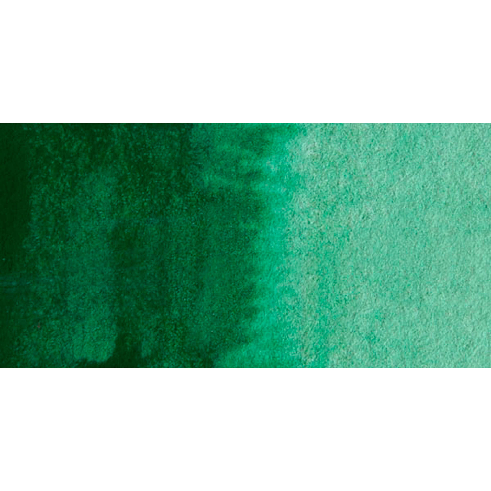 Schmincke Horadam Aquarell Artist Watercolor - Permanent Green Olive swatch