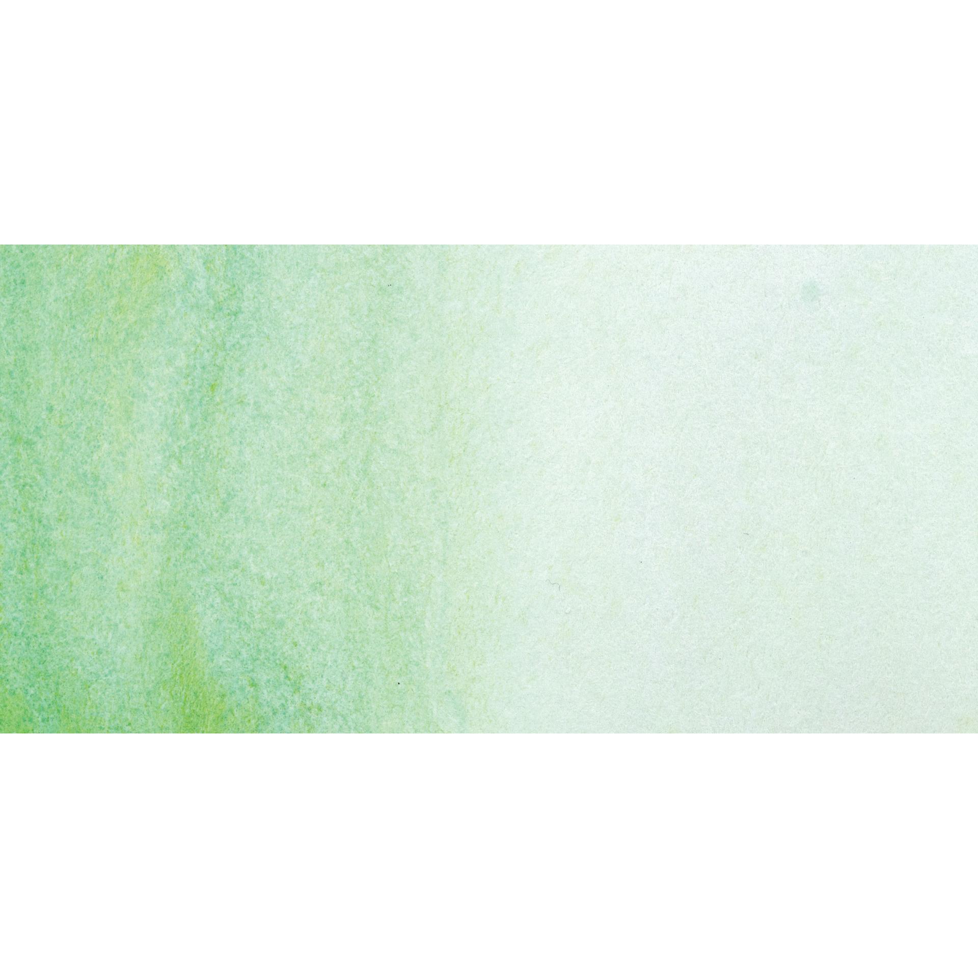 Schmincke Horadam Aquarell Artist Watercolor - Shire Green, Supergranulation, Swatch
