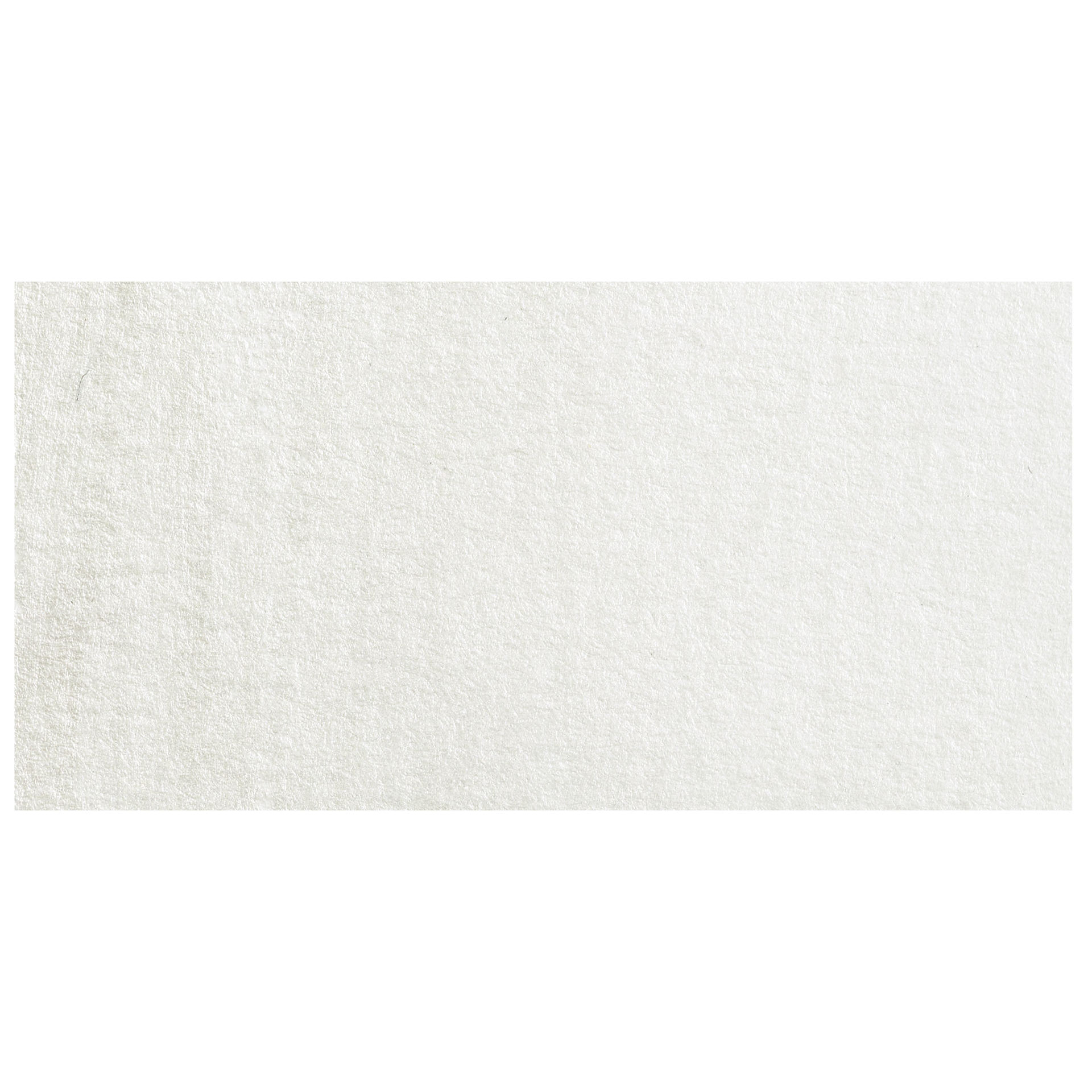 Winsor & Newton Cotman Watercolor - Iridescent White swatch