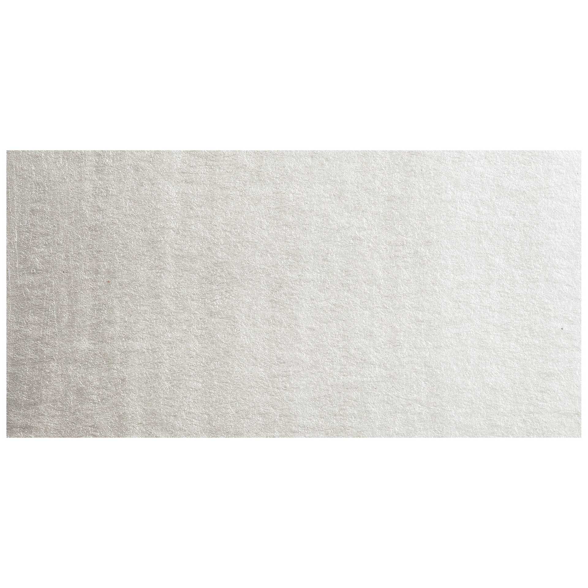 Winsor & Newton Cotman Watercolor - Silver swatch