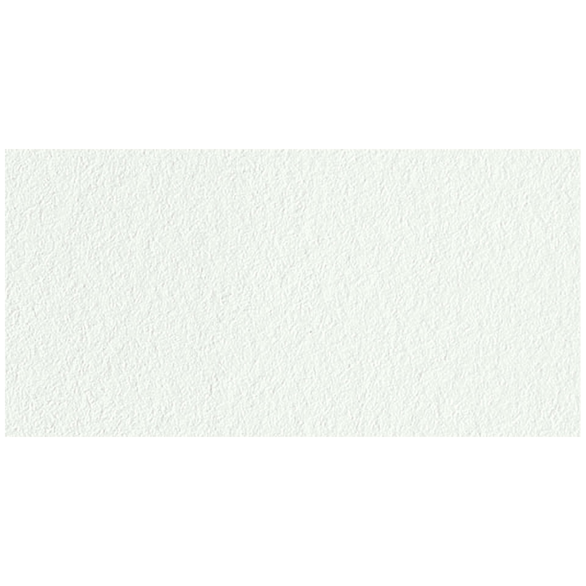 Van Gogh Watercolor Half Pan - Chinese White swatch