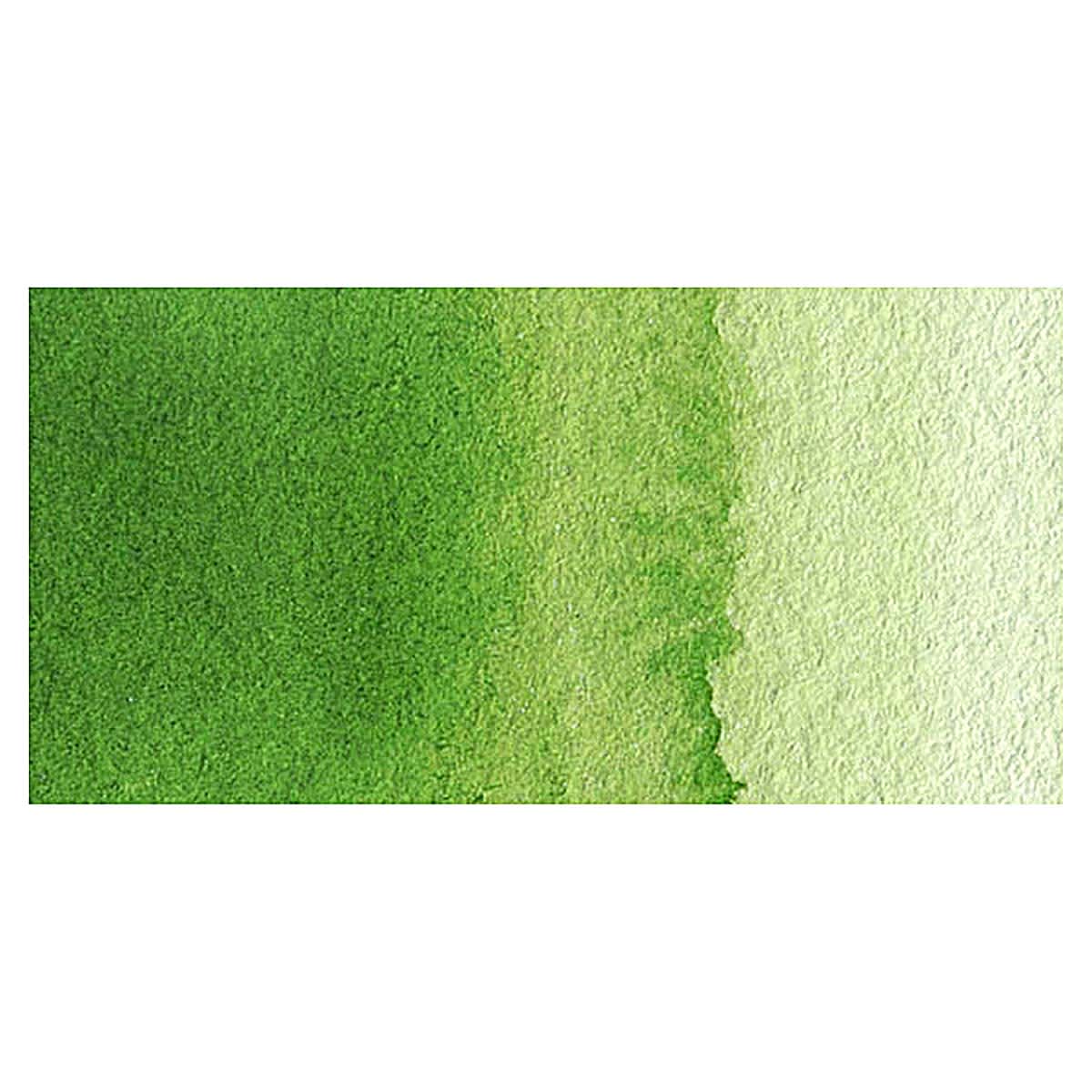 Van Gogh Watercolor - Sap Green swatch Van Gogh Watercolor - Sap Green swatch