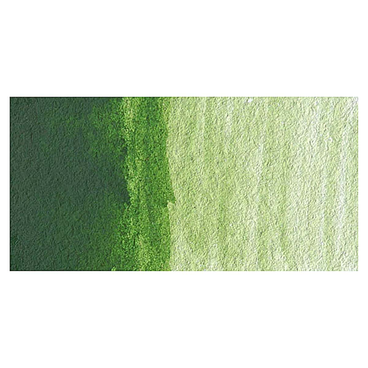 Grumbacher Academy Watercolor - Hooker's Green Light Hue swatch