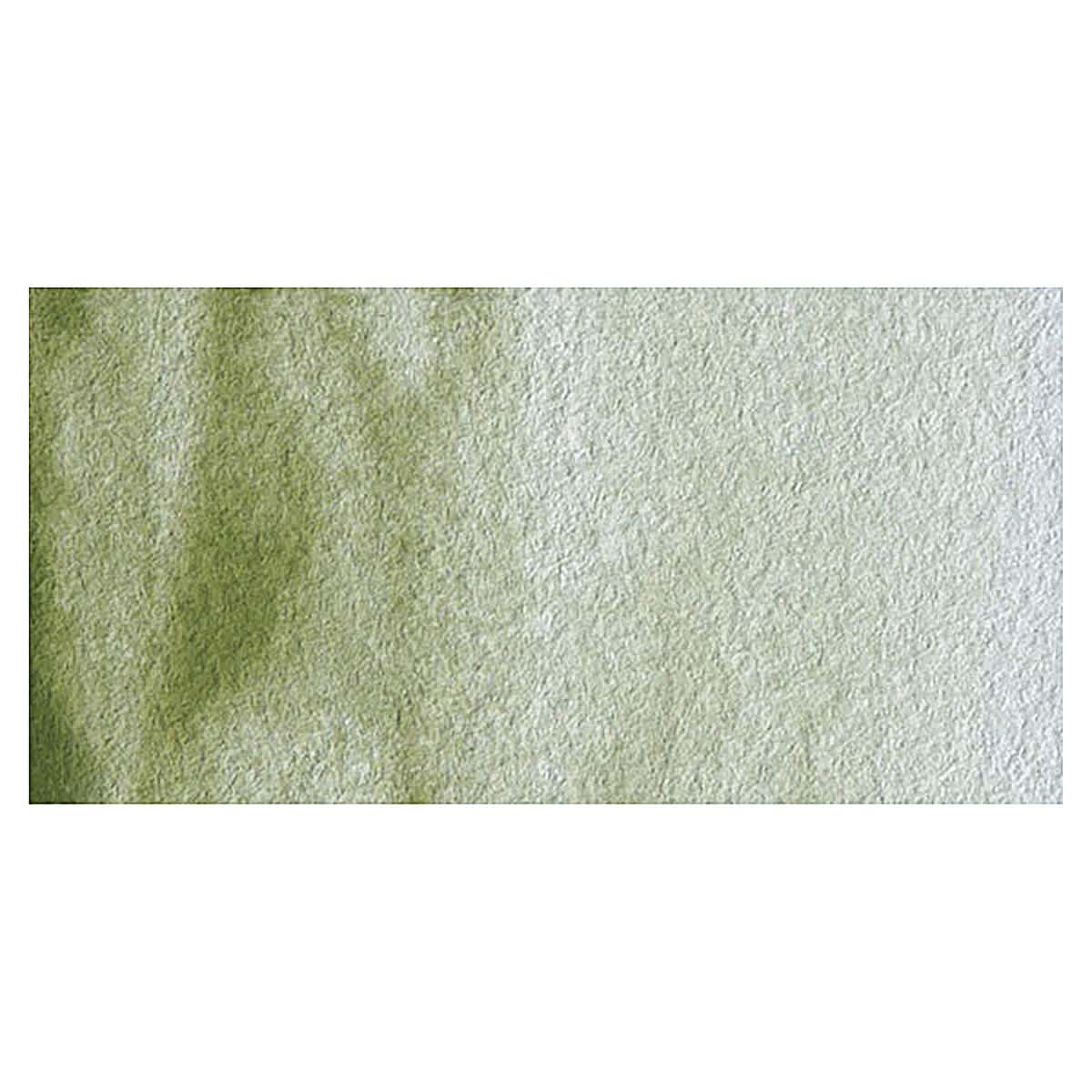 Old Holland Classic Artist Watercolor - Green Earth swatch