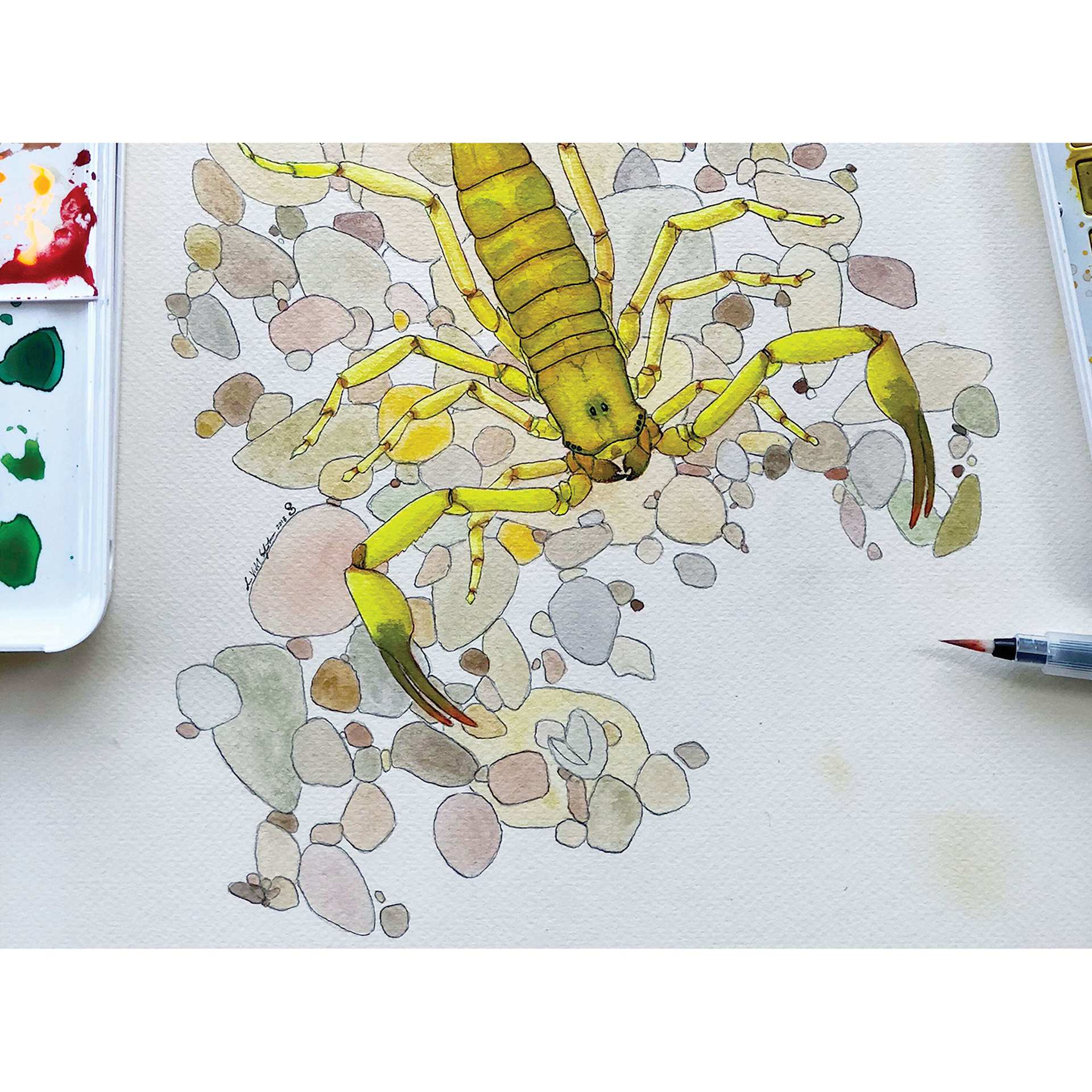 Sakura Koi Watercolor Half Pans being used with a waterbrush to paint.