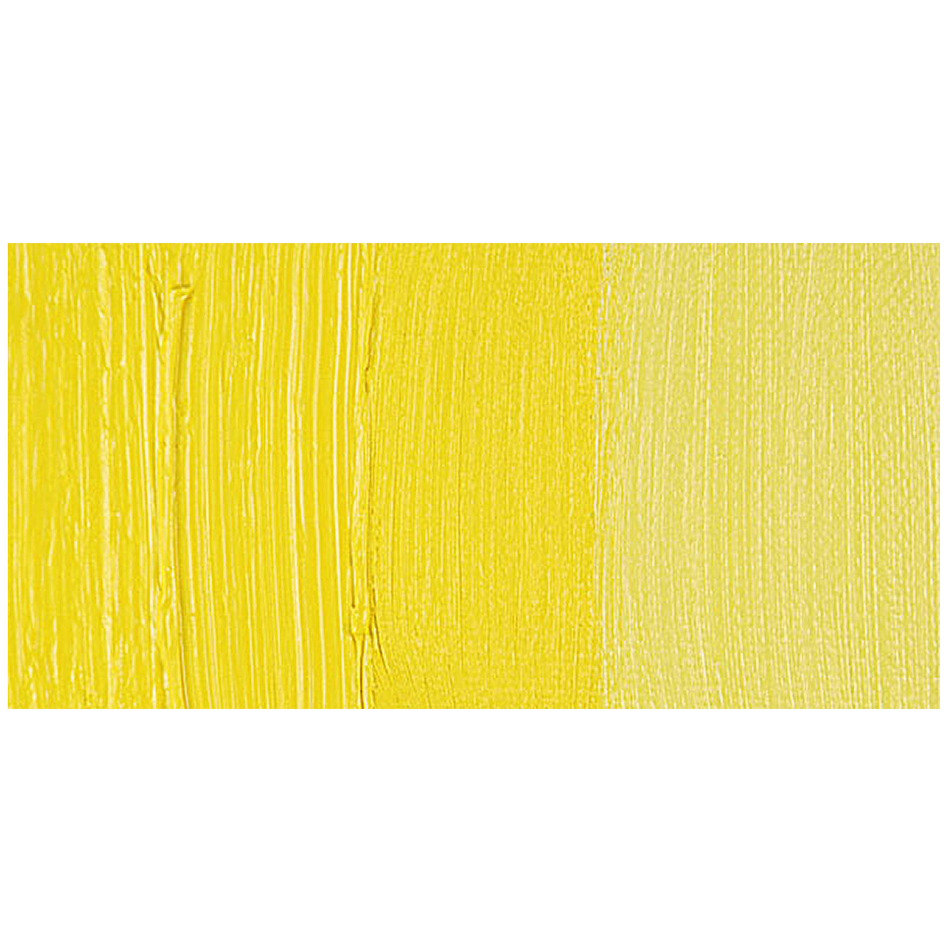 Gamblin Artist's Oil Color - Cadmium Lemon swatch