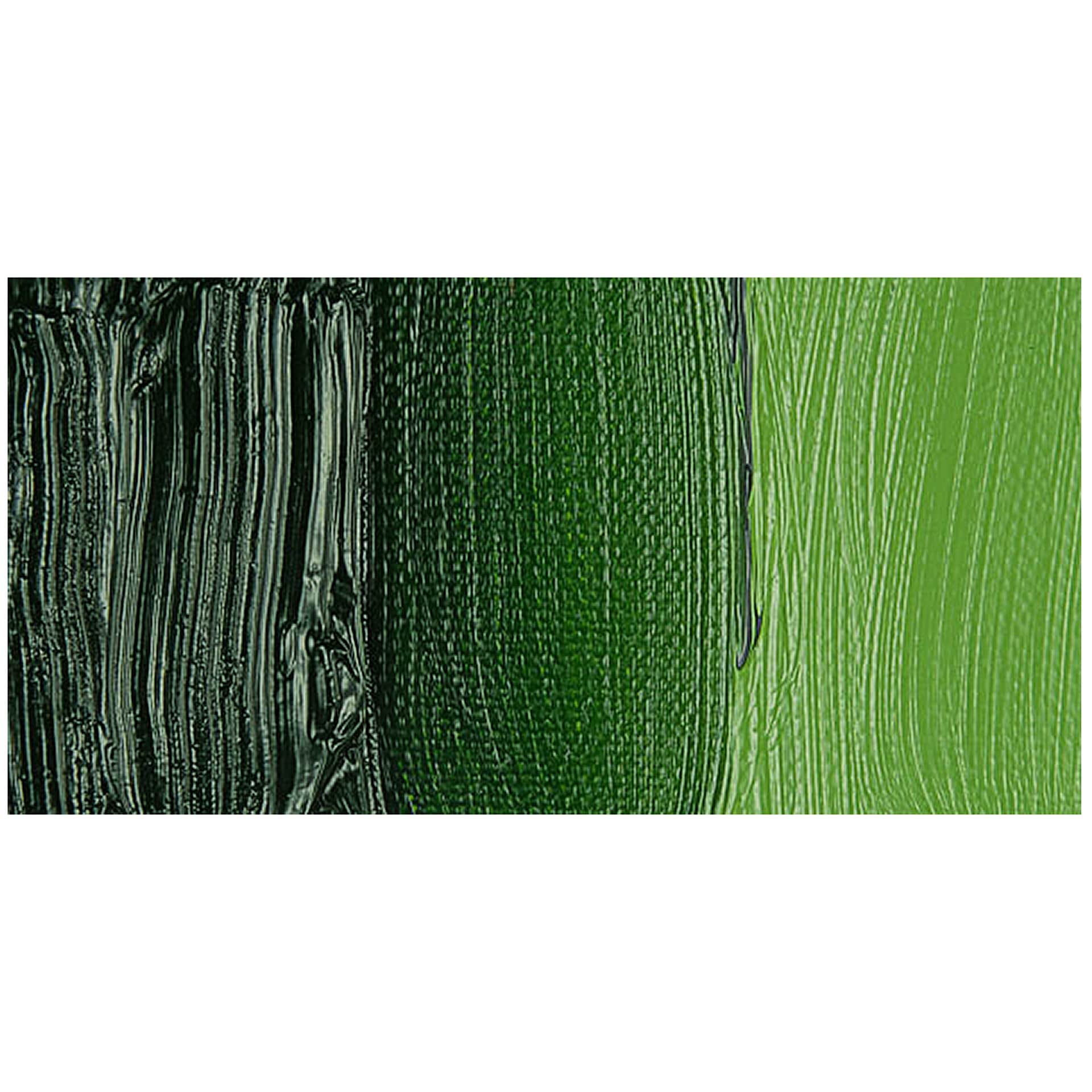 Gamblin Artist's Oil Color - Sap Green swatch